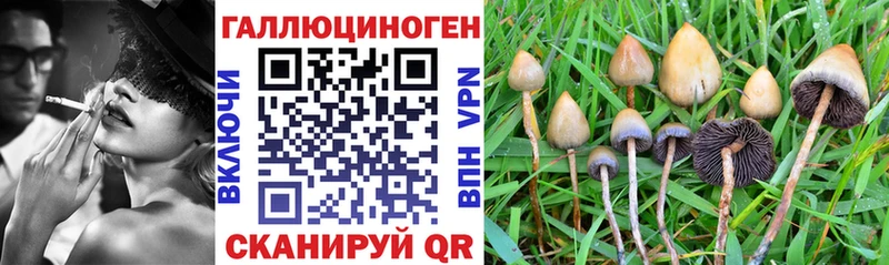 Псилоцибиновые грибы GOLDEN TEACHER  как найти наркотики  Семилуки 